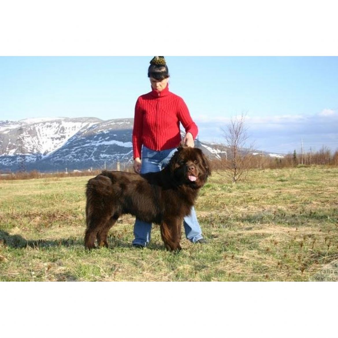 R Zorran Sneschnij Podarok (25-01-2008)